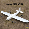 Loong 2160 VTOL