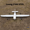 Loong 2160 VTOL