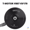 T-MOTOR V807 KV170