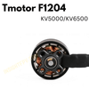Tmotor F1204  KV5000/KV6500