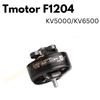 Tmotor F1204  KV5000/KV6500
