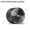 AK40-10 KV170 Motor Suitable for Humanoid Robot Joints