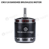 CM3120 BANSHEE Brushless motor