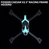 Foxeer Caesar V2 5