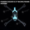 Foxeer Caesar V2 5