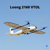 Loong 2160 VTOL
