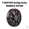 T-MOTOR Antigravity MN8012 KV100